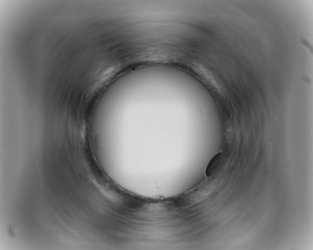 X0000095950072200801110925