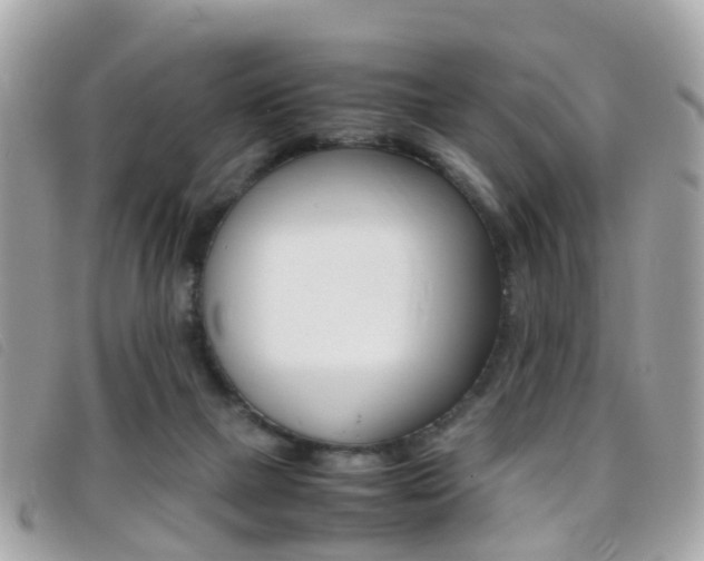 X0000095950073200801110925