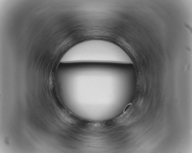 X0000095950074200801110925