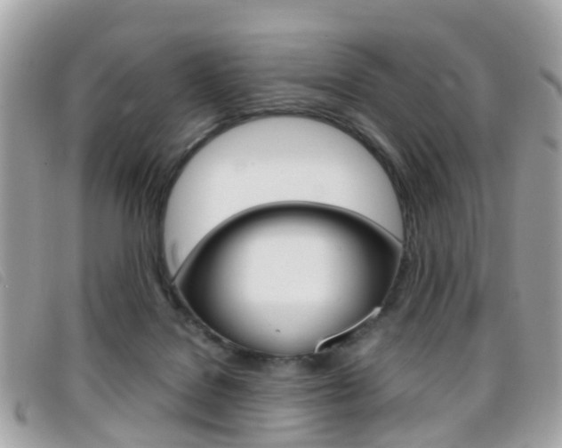 X0000095950076200801110925