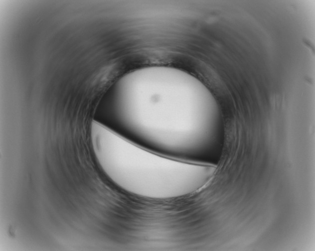 X0000095950078200801110925