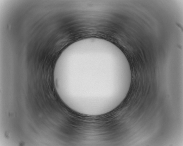 X0000095950080200801110925