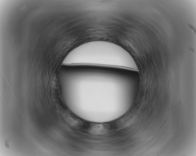 X0000095950083200801110925