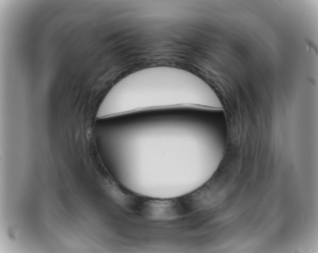 X0000095950085200801110925