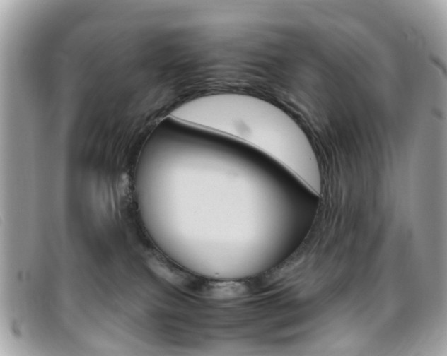 X0000095950087200801110925