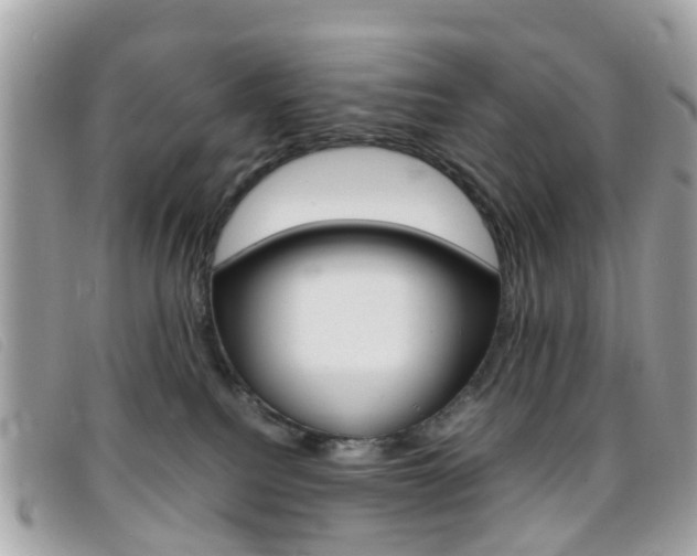 X0000095950088200801110925