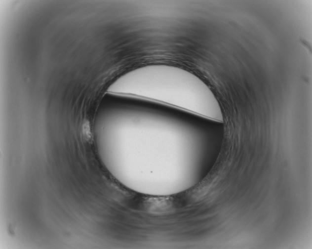 X0000095950089200801110925