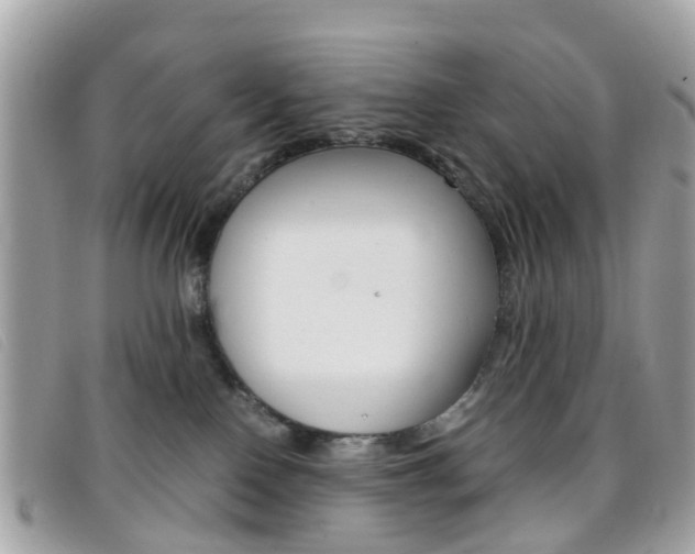 X0000095950090200801110925