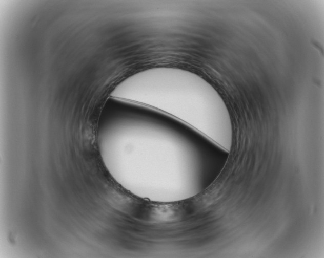 X0000095950091200801110925