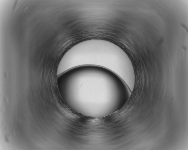 X0000095950092200801110925