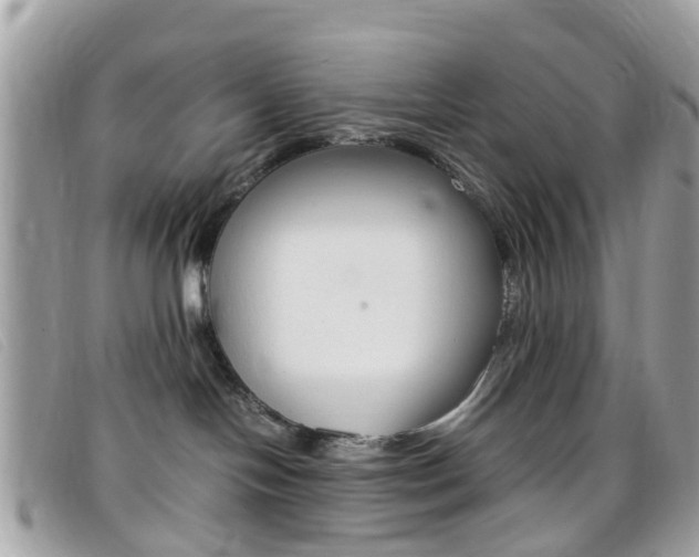 X0000095950094200801110925