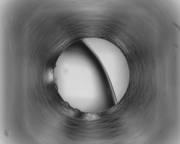 X0000095950095200801110925