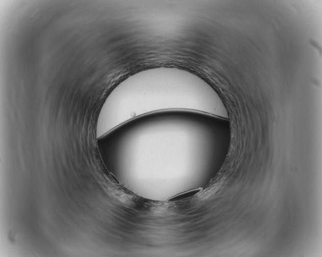 X0000095950096200801110925