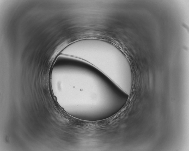 X0000095950099200801110924