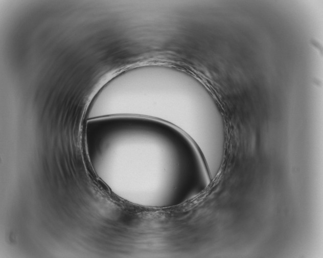 X0000095950100200801110924