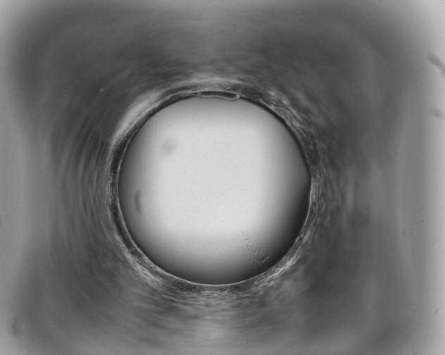 X0000095950101200801110924