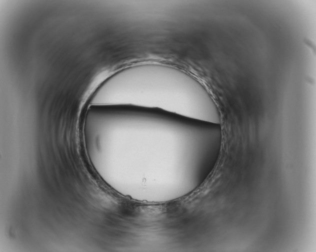 X0000095950102200801110924