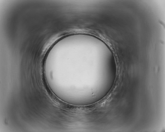 X0000095950103200801110924