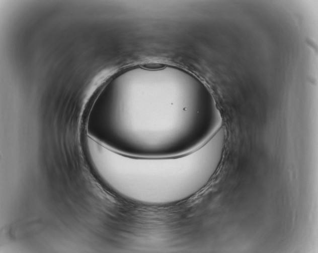 X0000095950104200801110924