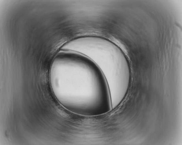 X0000095950105200801110924