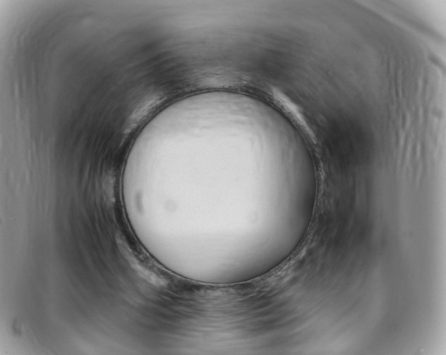 X0000095950106200801110924