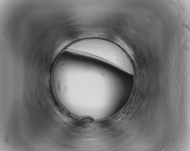 X0000095950107200801110924