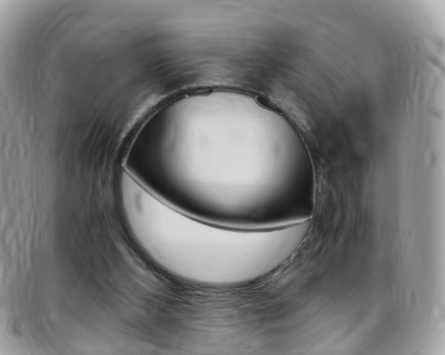 X0000095950108200801110924