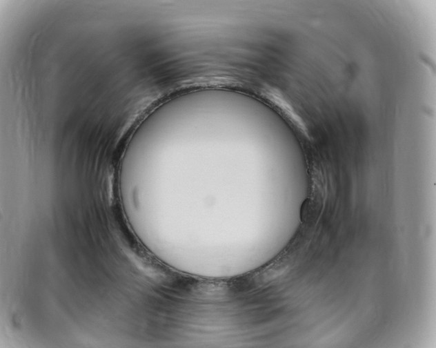 X0000095950110200801110924