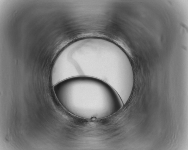 X0000095950111200801110924
