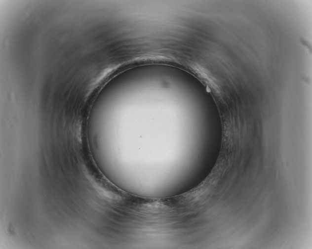 X0000095950112200801110924