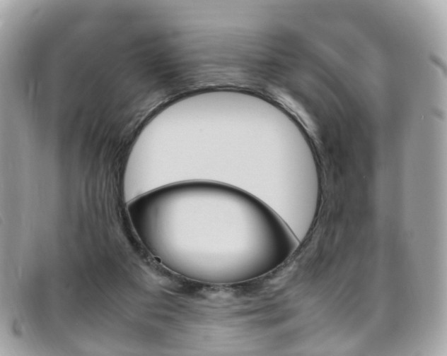 X0000095950113200801110924