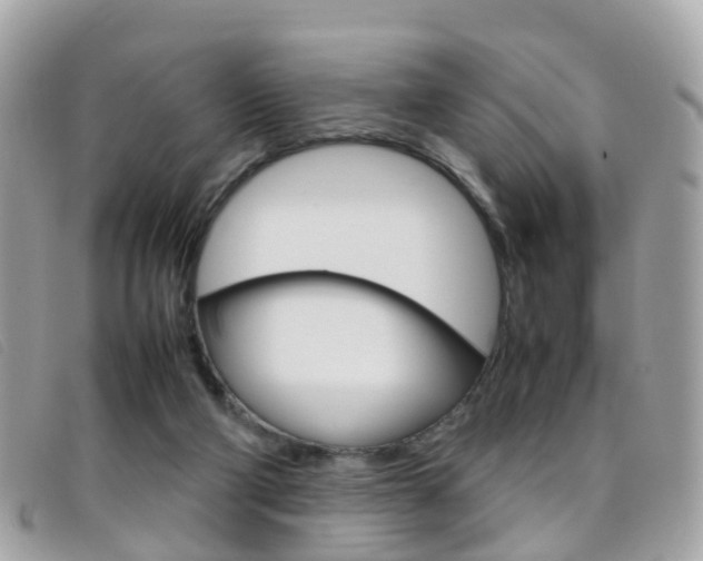 X0000095950114200801110924