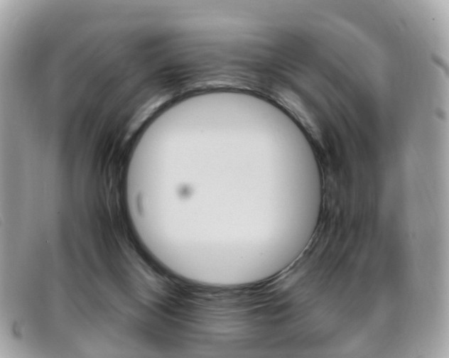 X0000095950116200801110924