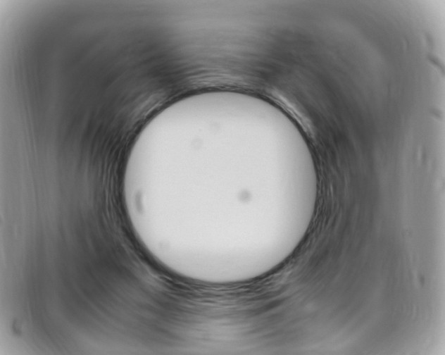 X0000095950117200801110924