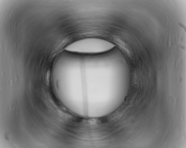 X0000095950118200801110924