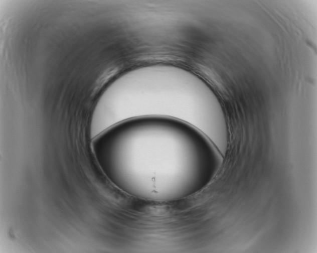 X0000095950120200801110924