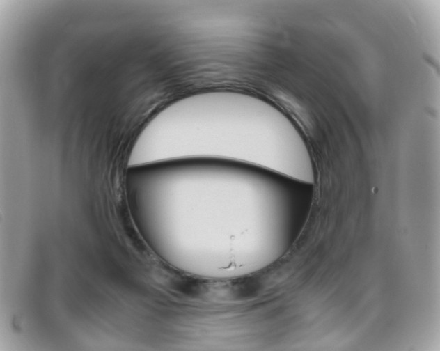 X0000095950121200801110924