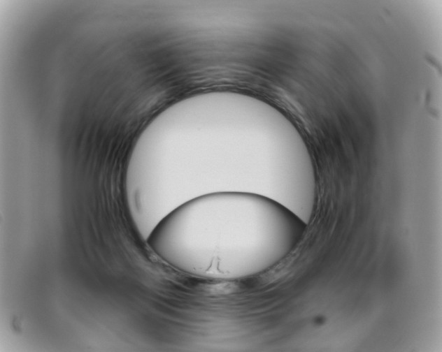 X0000095950122200801110924