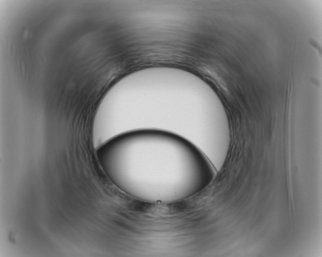 X0000095950123200801110924