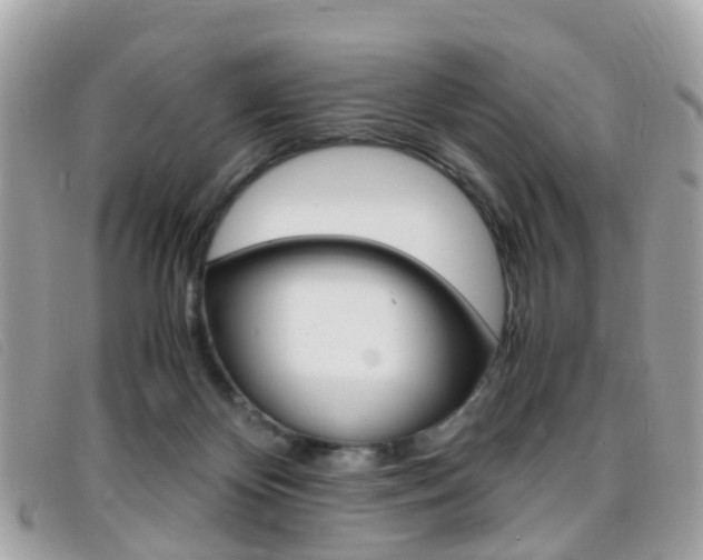X0000095950124200801110924