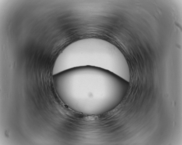 X0000095950126200801110924