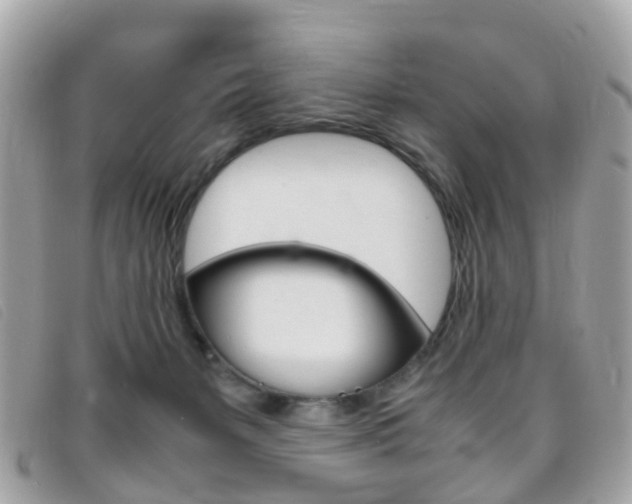 X0000095950127200801110924