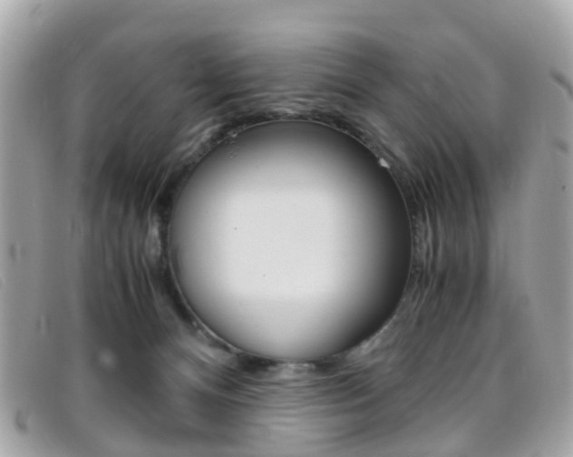 X0000095950128200801110924