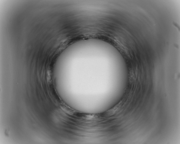X0000095950130200801110924