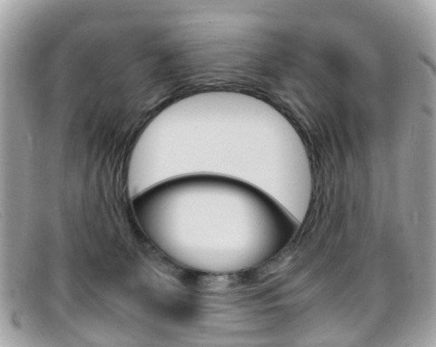 X0000095950131200801110924
