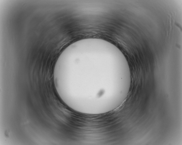 X0000095950132200801110924