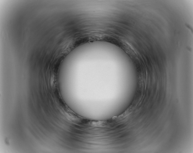 X0000095950134200801110924