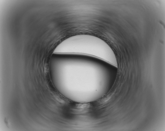 X0000095950135200801110924