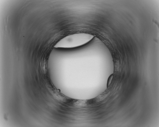 X0000095950138200801110924