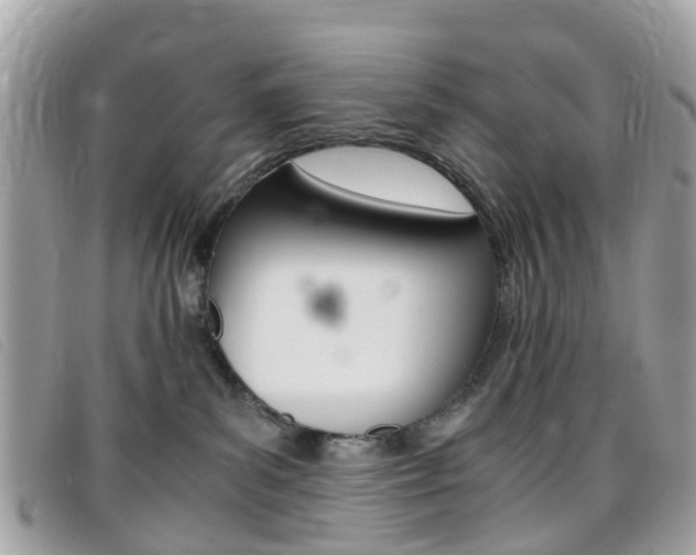 X0000095950139200801110924